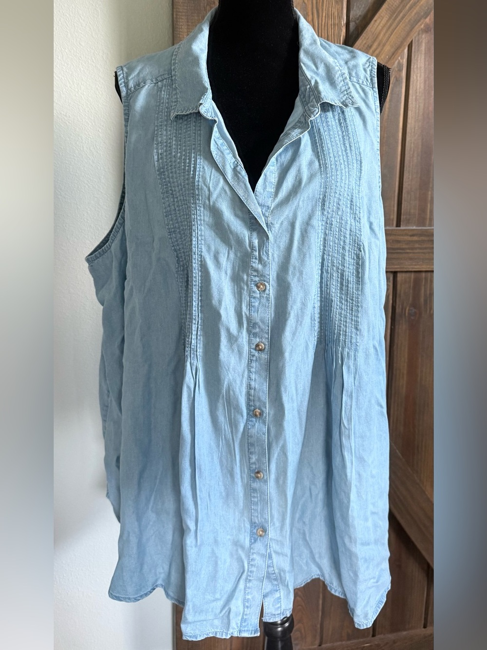 Terra & Sky Light Blue Sleeveless Chambray Button-Down Shirt